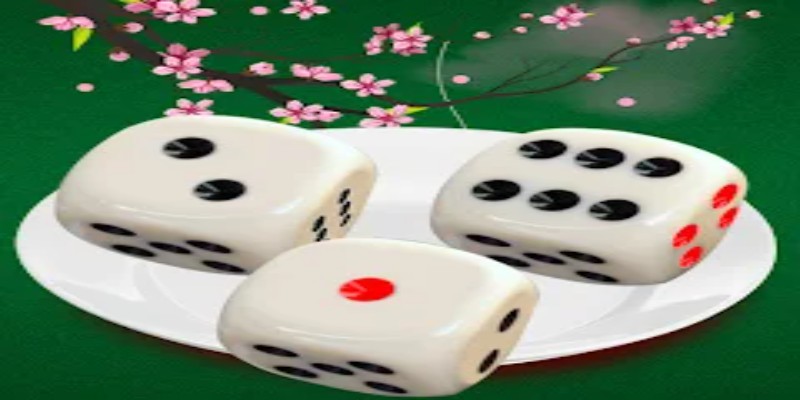 Tài Xỉu MD5 Là Gì-Mẹo Chơi Jackpot Hiệu Quả Từ Các Chuyên Gia